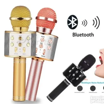 Mikrofon Karaoke WS-858