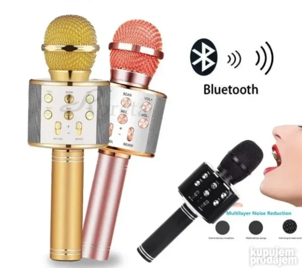 Mikrofon Karaoke WS-858