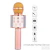 Mikrofon Karaoke WS-858