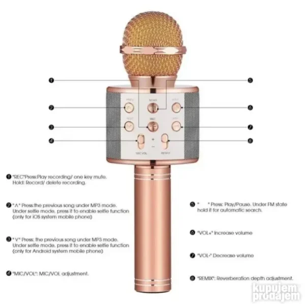 Mikrofon Karaoke WS-858