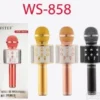 Mikrofon Karaoke WS-858