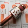 Mikrofon Karaoke WS-858