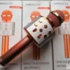 Mikrofon za karaoke WS-858