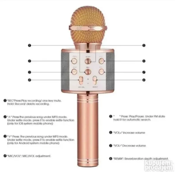 Mikrofon za karaoke WS-858
