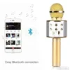 Mikrofon za karaoke WS-858