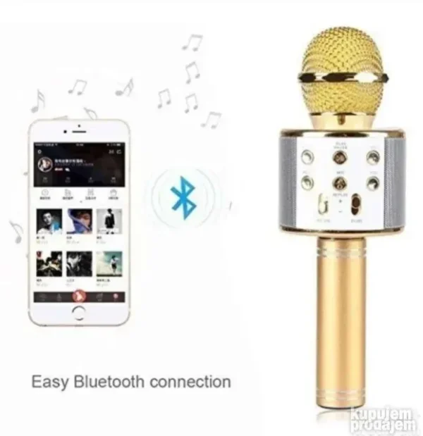 Mikrofon za karaoke WS-858