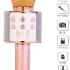 Mikrofon za karaoke WS-858