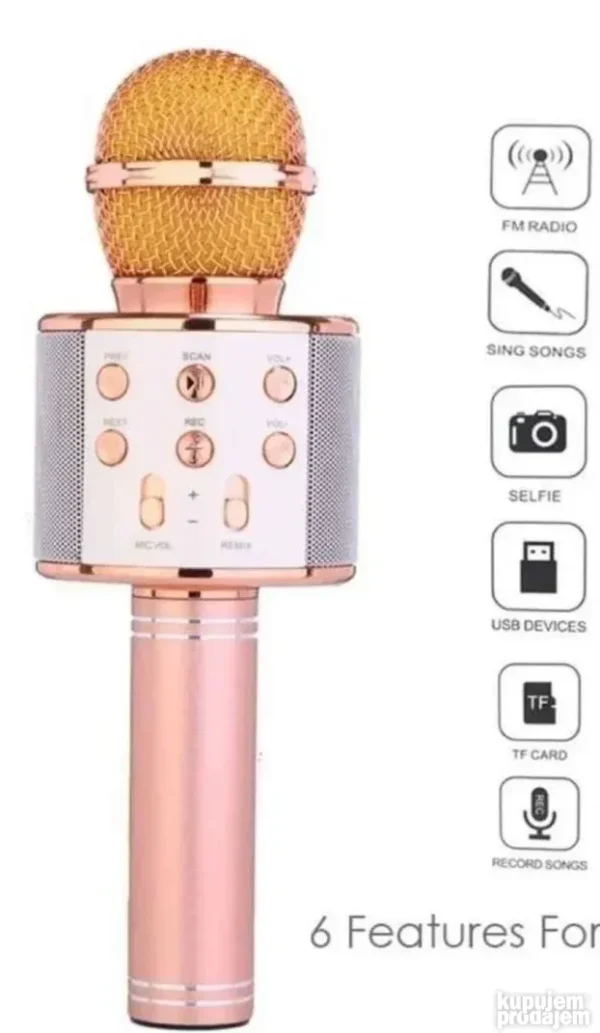 Mikrofon za karaoke WS-858