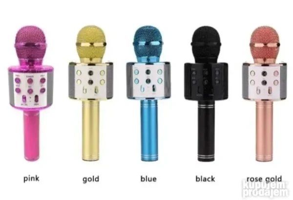 Mikrofon za karaoke WS-858