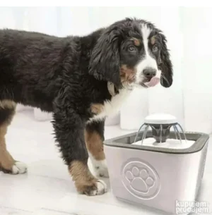 Fontana za pse i mačke