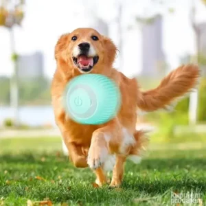 Pametna interaktivna loptica za pse i mačke