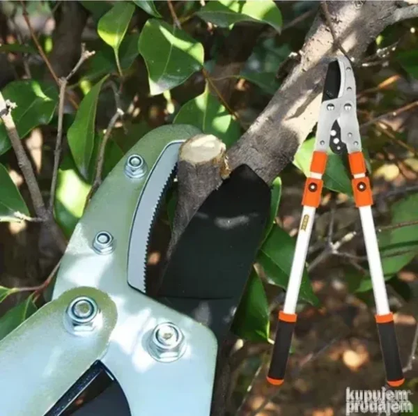Teleskopske Makaze za Orezivanje – Lako i Brzo Sečenje Grana
