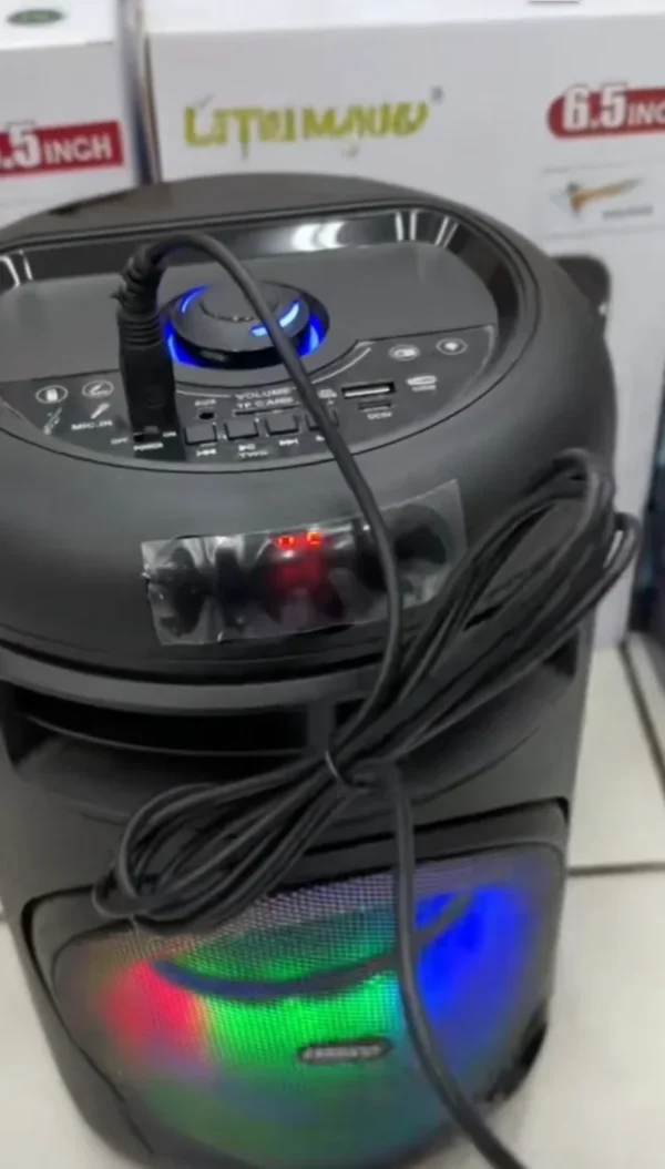 Karaoke Bluetooth zvucnik 6.5" sa mikrofonom