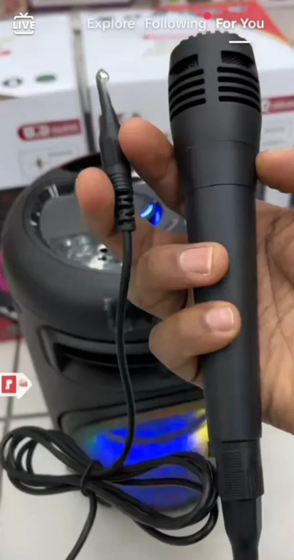 Karaoke Bluetooth zvucnik 6.5" sa mikrofonom