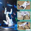 AI Robot Pas na daljinski