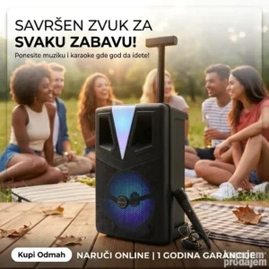 Blutut zvučnik od 8 inča 40W